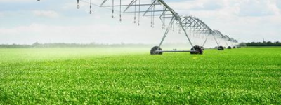 绿色农田守护未来：生态农业与可持续发展之