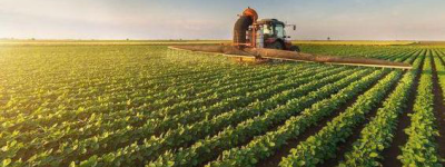 农业新政下，绿色农产品市场迎来新机遇与挑战