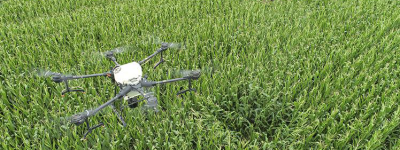 农田科技新突破：无人机精准施肥引领绿色高效农业新时代