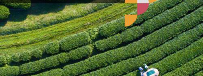 农田生态系统保护新策略：智能农业助力绿色可持续发展