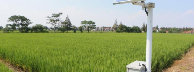 农田作物种植新技术：智能灌溉引领绿色高产新潮流