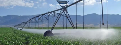 农田作物种植新趋势：智能灌溉技术助力增产增收，引领农业新革命