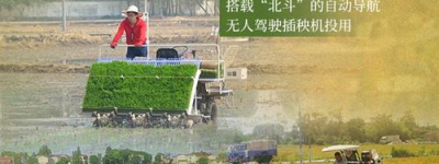 科技助力丰收：最新高效种植技术助力农民增收致富