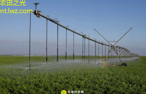 农田管理新理念高效节水保肥