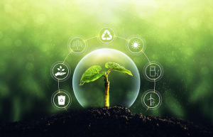农业环境保护科技赋能可持续发展