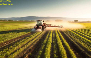 农田经验交流：智能农机助力，高效种植新趋势引领农业升级