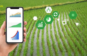 智能农业科技引领新农业发展