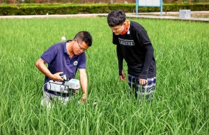 科技助农：智能农药革新，守护绿色田园