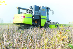 农田作物新技术高效种植，高收入！