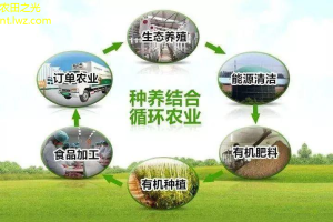 农田废弃物循环利用：实现绿色农业与生态和谐的新路径