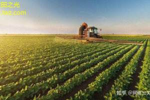 农业新政下，绿色农产品市场迎来新机遇与挑战
