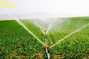 农田作物种植新技术：智能灌溉引领绿色增产革命